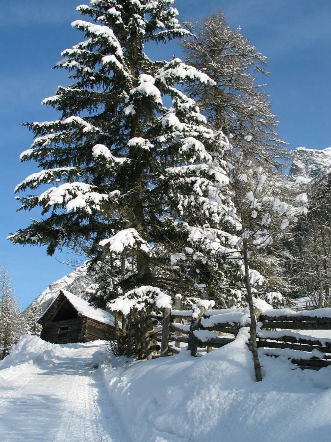 Apartment Schlickenhof Hintergöriach المظهر الخارجي الصورة